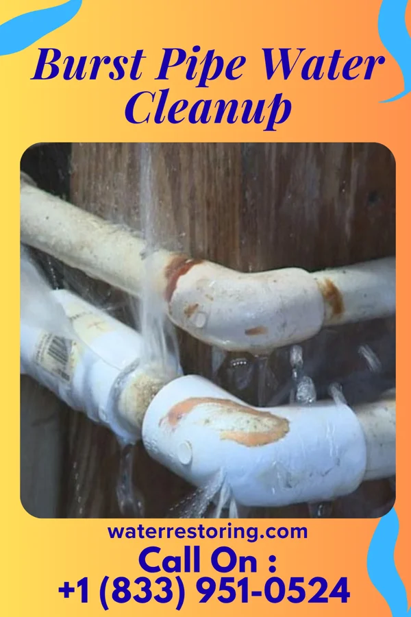 Burst Pipe Water Cleanup in Camargo, KY