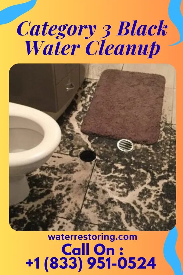 Category 3 Black Water Cleanup in Camargo, KY