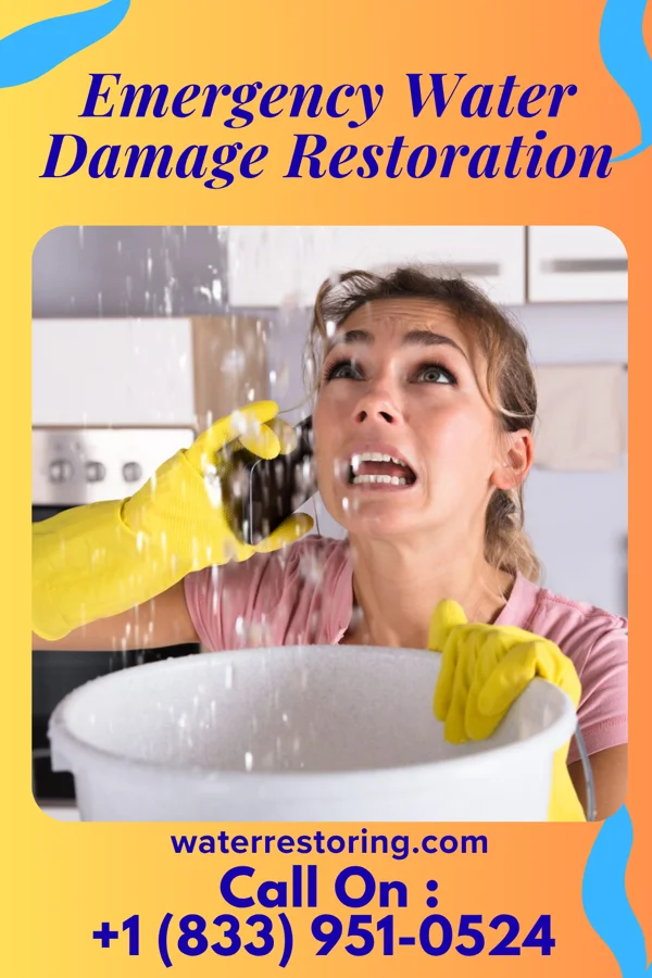 Emergency Water Damage Restoration in Camargo, KY