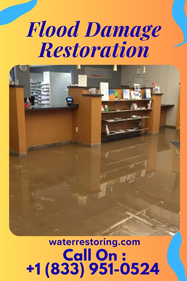 Flood Damage Restoration in Camargo, KY